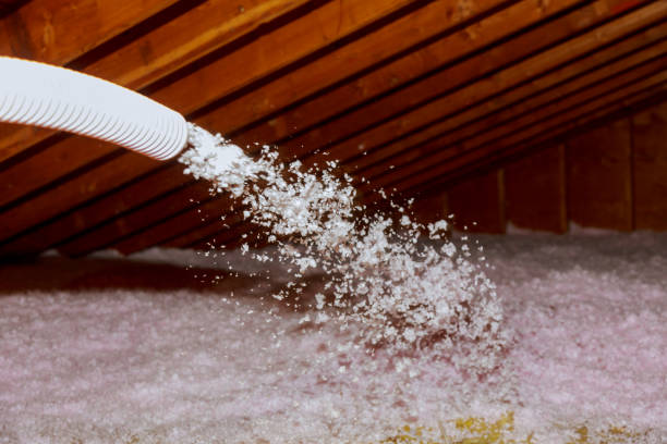 Best Crawl Space Insulation  in Lexington, MI