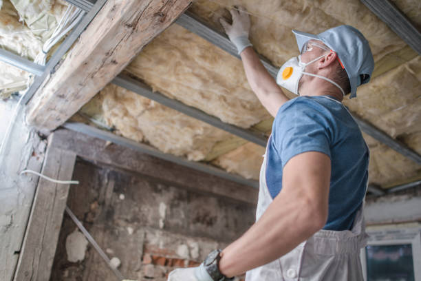 Best Wall Insulation Contractor  in Lexington, MI