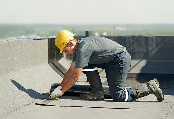 Best Affordable Insulation Services  in Lexington, MI