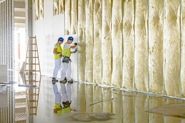 Trusted Lexington, MI Insulation Contractor Experts